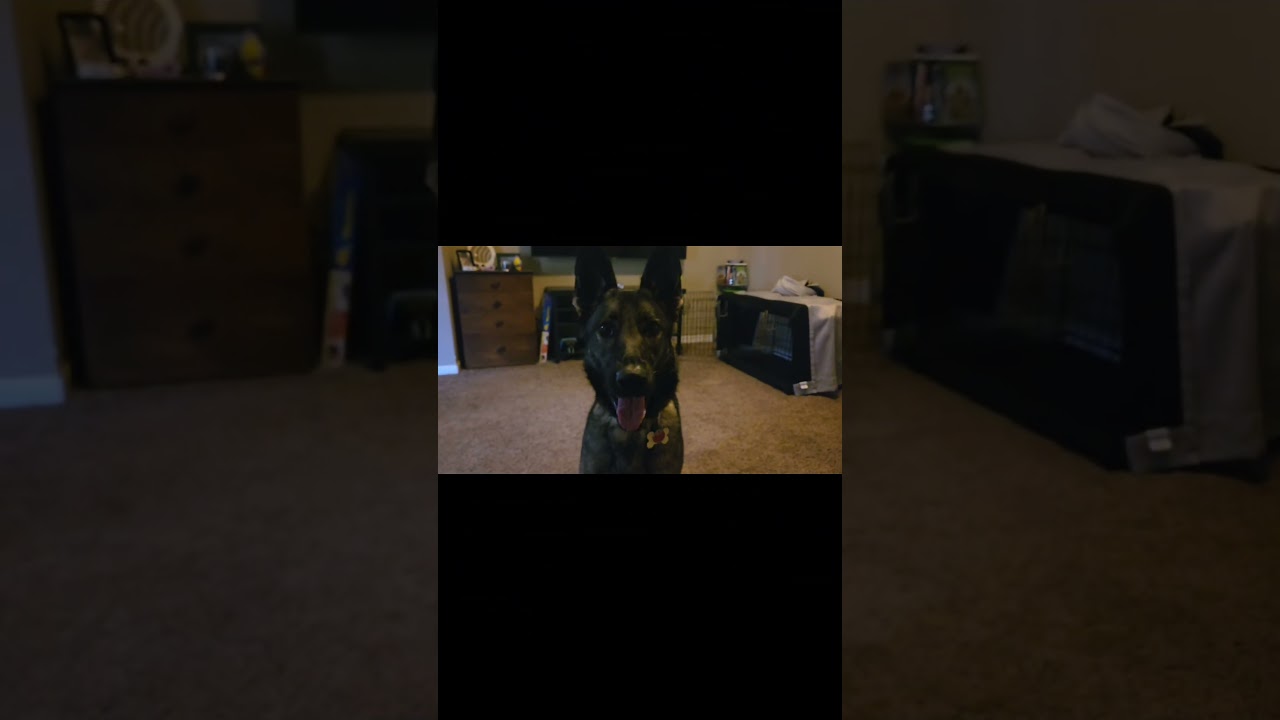 Elite Focus And Control!