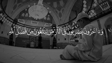 القارئ عبدالرحمن مسعد _ (واستغفروا الله ان الله غفور رحيم) تلاوة مريحة وجميلة🌸🌱