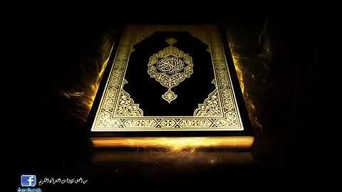 الشيخ سيد سعيد ..سورة الزمر