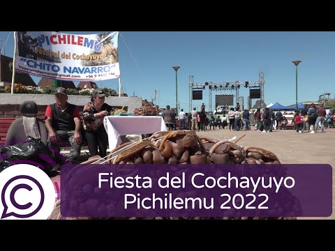 Fiesta del Cochayuyo volvió a Pichilemu este 2022