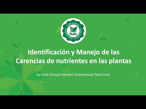 Video: Los Efectos Beneficiosos De Las Plantas. Parte 1