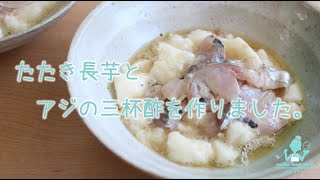 【生配信】たたき長芋とアジの三杯酢を作ります！