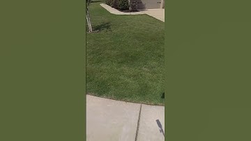 Oddly Satisfying Robot Mower Timelapse 🤖 🌱