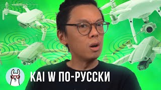 Kai W по-русски: Какой DJI дрон выбрать? (Mavic Mini / Mavic Air 2 / Mavic 2 Pro / Phantom 4 Pro v2)