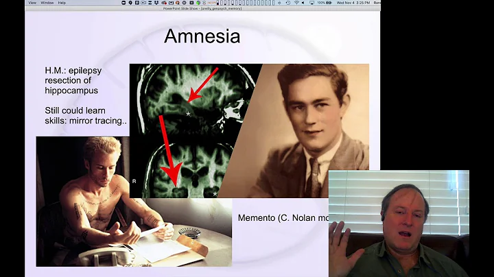 GenPsych Course 2020, Memory 6: Hippocampal Pattern Separation, Amnesia