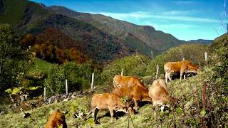 La Peral-Villar de Vildas