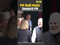 Modi News: PM Narendra Modi Holds Bilateral Meeting With Denmark PM Mette Frederiksen | PM Modi News