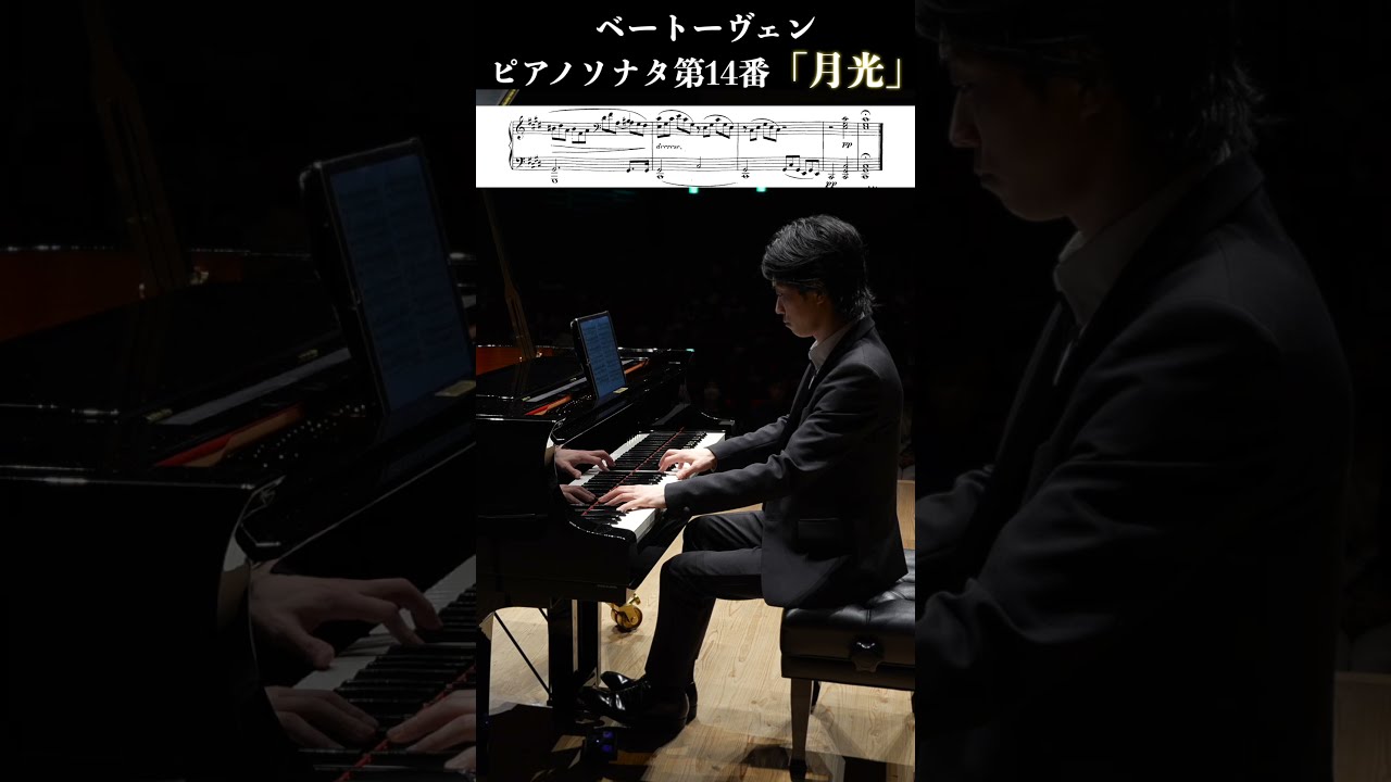 Amazon.co.jp: アラウとの対話/ジョーゼフホロヴィッツ著/ピアノ
