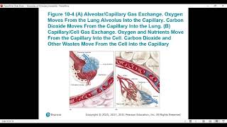 AEMT CHAPTER 10