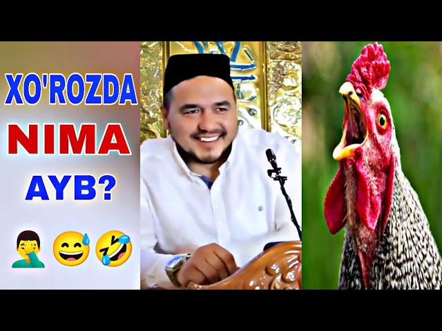 Ogzimda katta sik bor. Dik rohibani sikadi