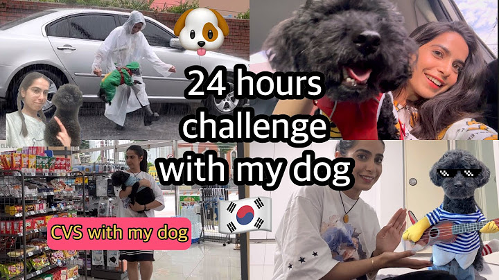 🇰🇷24 HOURS CHALLENGE WITH MY DOG ♥️🐶 he ate at CVS *for the first time*