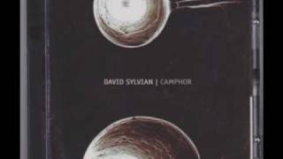 David Sylvian - All of My Mother&#39;s Names