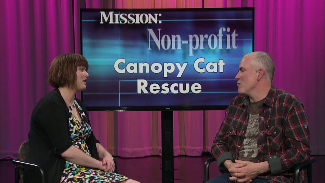 Mission: Non Profit - May 2017 - Canopy Cat Rescue Excerpt