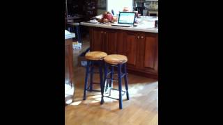 Stool performance