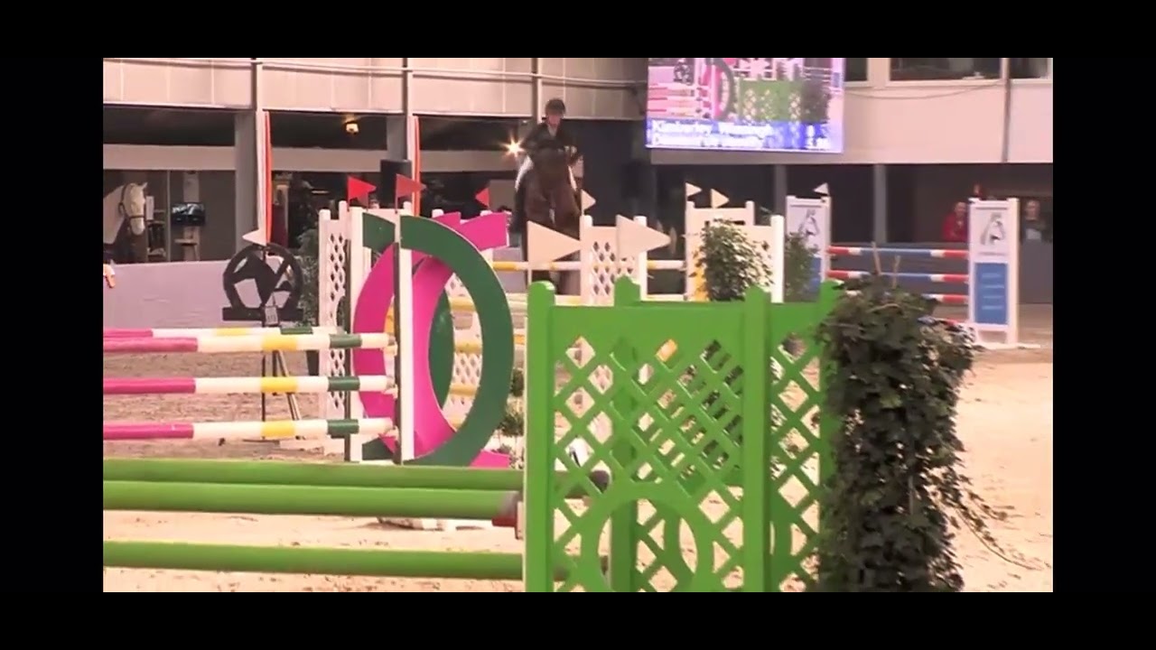 Houdini - CSI1* 6YO - 2018