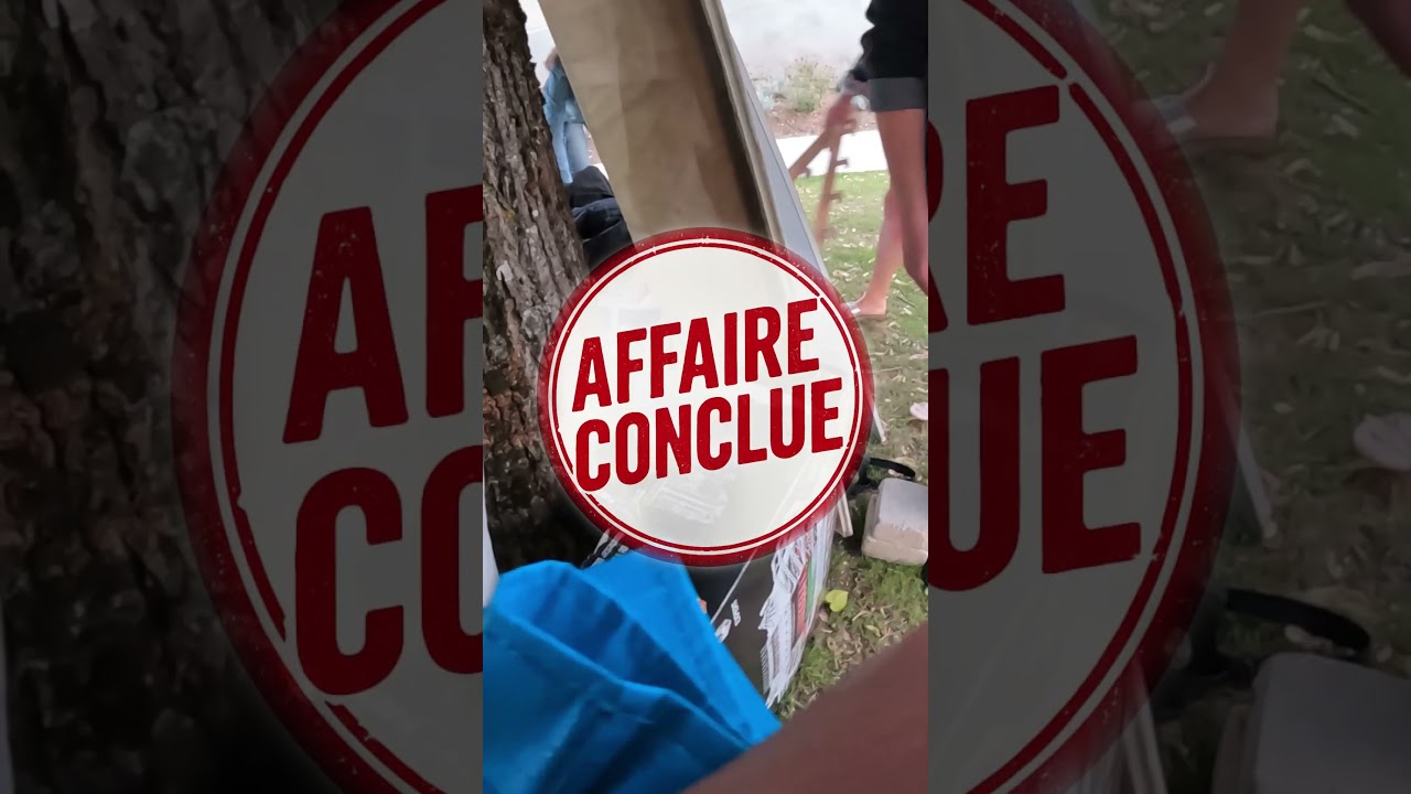 Boite LEGO Creator en vide grenier