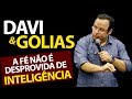 Pregação sobre Davi e Golias | 1 Samuel 17 | Felipe Seabra