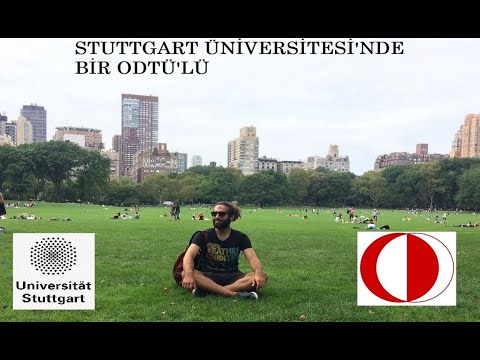 Stuttgart Üniversitesi'nde Bir ODTÜ'lü, Almanya'nın BİM'ine Gittim, Merdivenden Araba İndirmece