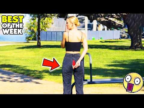 Try Not To Laugh 🤣 #113 | Instant Regret & Hilarious Moments | Best Of The Week