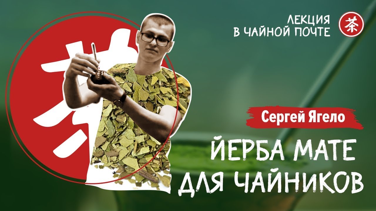 Йерба Мате для чайников. Лекция о Мате