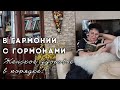 В гармонии с гормонами. Женское здоровье в порядке!