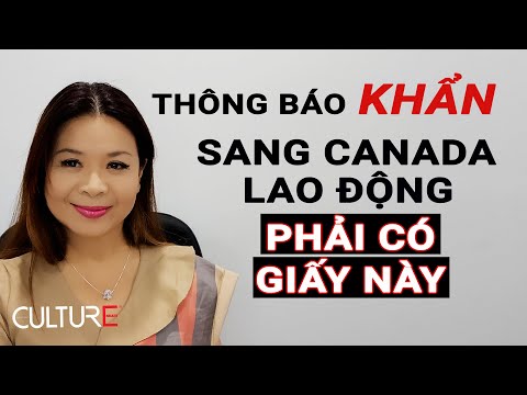 Video: Cách tạo dự án? Làm thế nào để tự tạo một dự án tốt trên máy tính một cách chính xác?