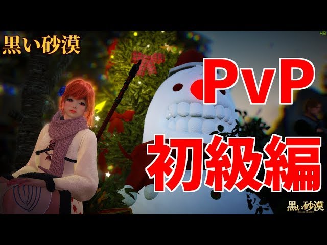 黒い砂漠 Pvp 初級編 ステータスや装備の解説 解説動画 Youtube