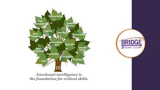 Bridge to Clemson - Success Strategies