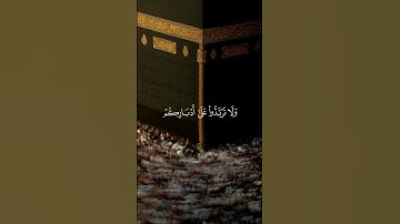 القارئ: عمر بن ضياء الدين/سورة المائدة 💐_#اكسبلور #tiktok