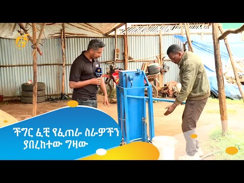 ቪዲዮ: ግሪል ትሪ፡ ዝርያዎች፣ የአሠራር ባህሪያት፣ ጥቅሞች እና ጉዳቶች