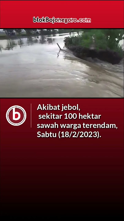 Bengawan Solo Naik, Tanggul Sungai di Bojonegoro Jebol