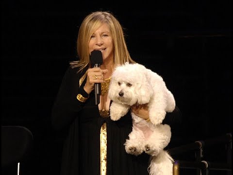 Vidéo: Barbra Streisand: Biographie, Créativité, Carrière, Vie Personnelle