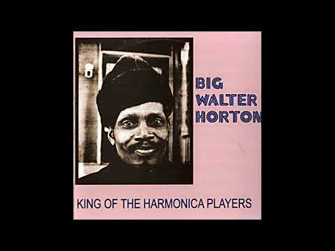 Big Walter Horton - King of the harmonica player