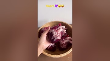 Human heart | Human heart 🫀 anatomy #heart#heartanatomy #ind#mbbs#neet#mbbskadwa007