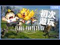 【FF14 初見】聽說我是來拯救世界的光之跑腿丨2.0主線進行
