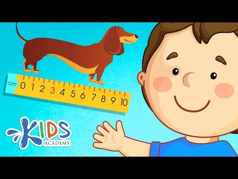 Measuring Length: Centimeters, Inches, Feet and Yards |  Math for 2nd Grade | Kids Academy