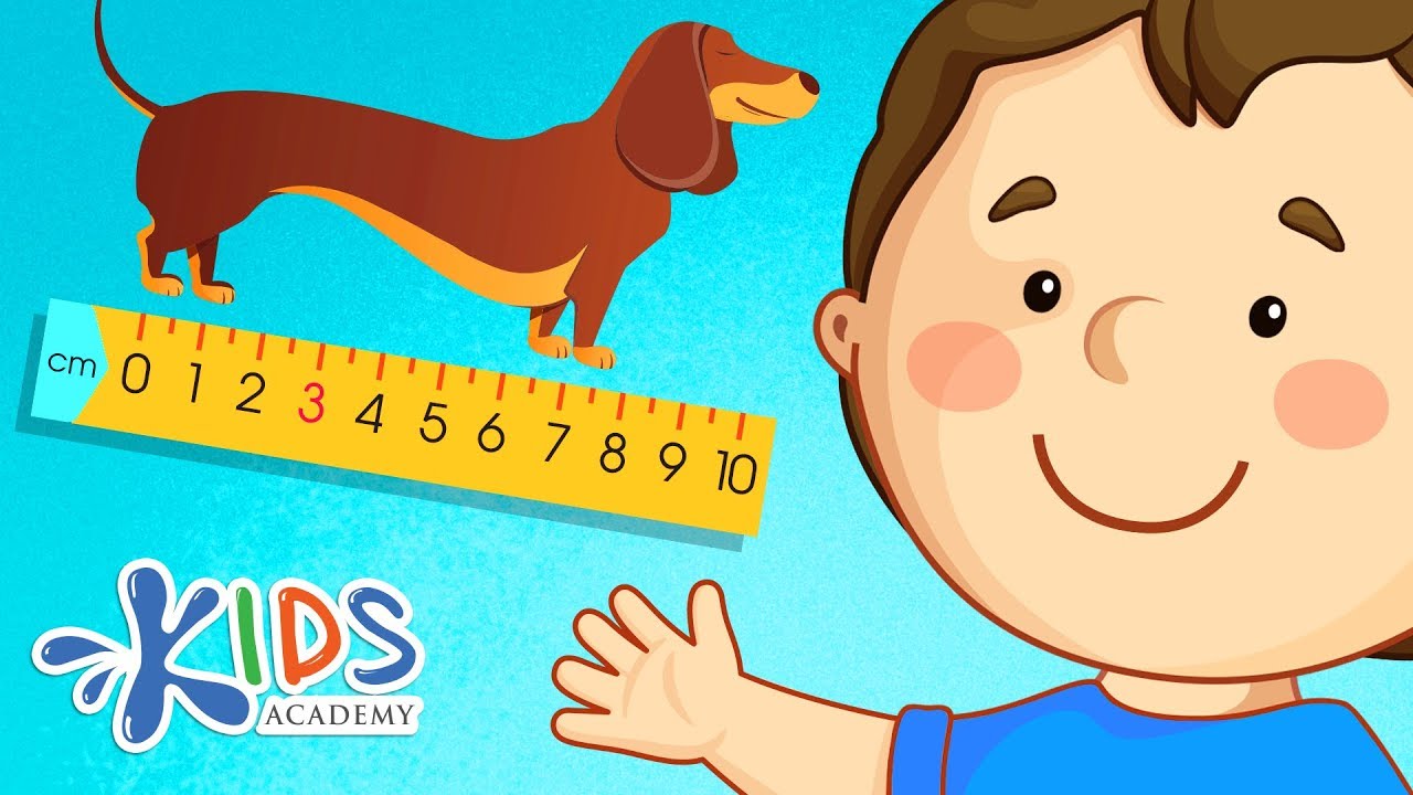 Measuring Length: Centimeters, Inches, Feet and Yards |  Math for 2nd Grade | Kids Academy