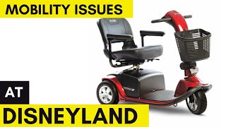 Navigating Disneyland with Mobility Issues | Scooter ECV | How to Ride attractions