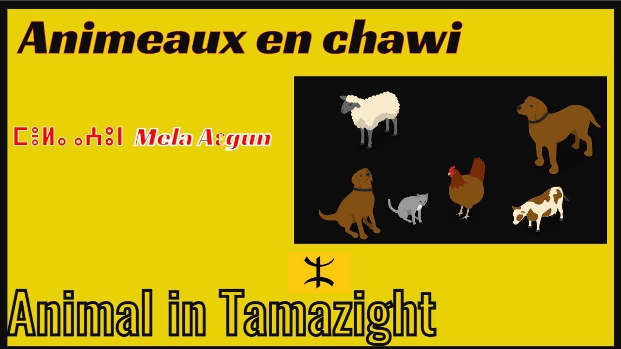 𝗩𝗶𝗱𝗲𝗼#𝟭 | 𝗟𝗲𝘀 𝗮𝗻𝗶𝗺𝗮𝘂𝘅 𝗲𝗻 𝗰𝗵𝗮𝘄𝗶-𝗧𝗔𝗠𝗔𝗭𝗜𝗚𝗛𝗧 |𝗔𝗻𝗶𝗺𝗮𝗹𝘀 𝗶𝗻 𝗧𝗮𝗺𝗮𝘇𝗶𝗴𝗵𝘁- 𝗶ɣ𝗲𝗿𝘀𝗶𝘄𝗲𝗻🐎