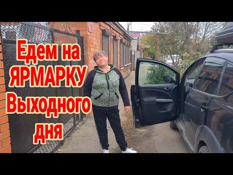 Ейск🌹Ярмарка выходного дня на юге, обзор и цены, 4 ноября 2023 г.