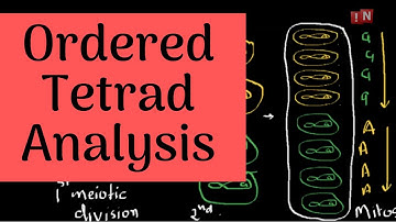 Tetrad Analysis-Part I-Ordered Tetrad Analysis