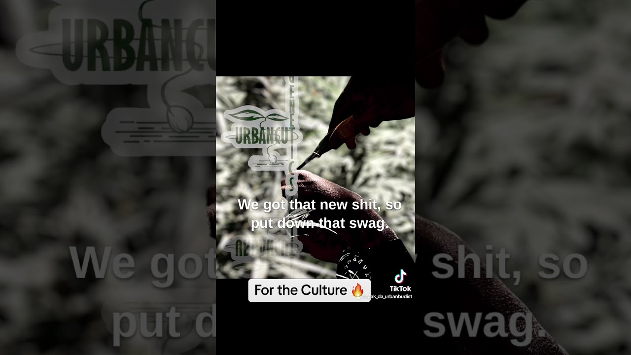 Thank God It’s Monday! Music for My 