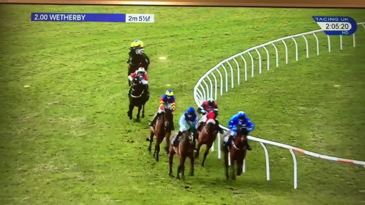 Little Bruce wins his third race at Wetherby - YouTube