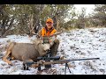 Colorado 3rd Season Mule Deer