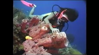 Clips From Scuba Diving Program 1990S