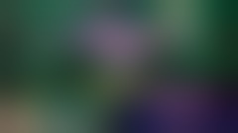 Làm lại video | Tập 262: Tuần đặc biệt của Tiến Lên ZingPlay