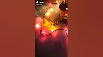 حالات واتساب عن عيد مولد النبي عليه الف الصلاة والسلام الوصف مهم من طرفي 
