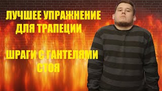 ЛУЧШЕЕ УПРАЖНЕНИЕ ДЛЯ ТРАПЕЦИИ.Шраги с гантелями стоя.Техника выполнения и ошибки. by Sports Development 119 views 1 year ago 2 minutes, 35 seconds