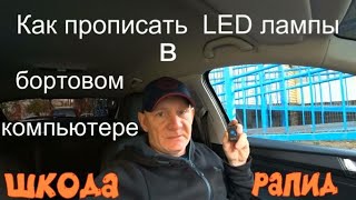 Адаптация освещения Шкода Рапид