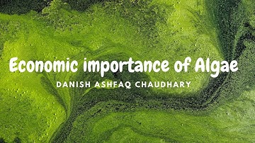 Algae|| Economic Importance of Algae || Botany || ADS || Lecture 02